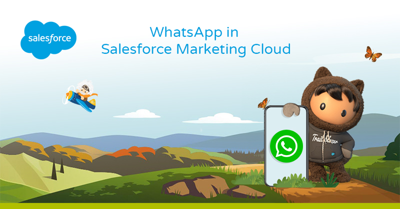 WhatsApp in Marketing Cloud. ShowerThinking