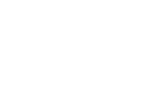 Salesforce Partner