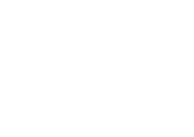 Salesforce Partner